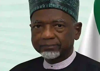 Nigeria High Commission Clarifies Interior Minister's Remarks as UK Passport Exercise Records Mixed Outcomes