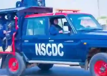 NANYD Cautions Political Parties Against Exploiting Niger State Miners' Death for Political Gains