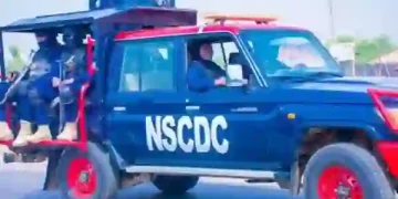 NANYD Cautions Political Parties Against Exploiting Niger State Miners' Death for Political Gains