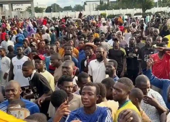 Five feared dead in Niger Government House stampede