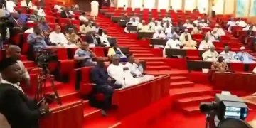 Senate Demands Immediate Release Of ₦10bn, Orders Ebola Screening At Borders