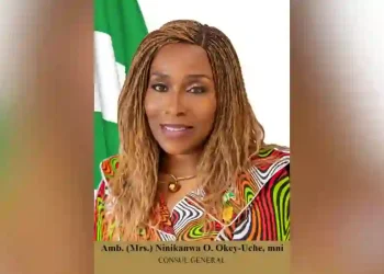 Nigeria Demands Investigation Into Nigerian’s Death in South African Police Custody