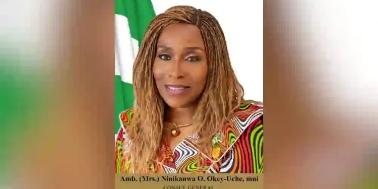 Nigeria Demands Investigation Into Nigerian’s Death in South African Police Custody
