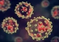 Anambra Confirms Lassa Fever Case, Activates Emergency Response