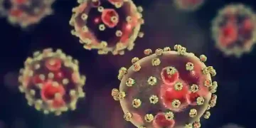 Anambra Confirms Lassa Fever Case, Activates Emergency Response