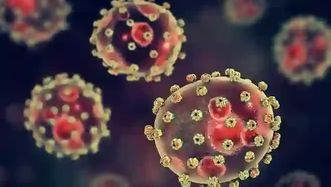 Anambra Confirms Lassa Fever Case, Activates Emergency Response